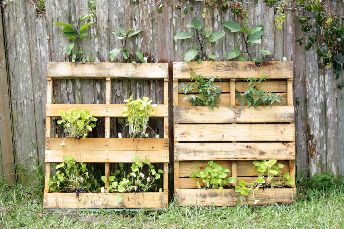 vertikálna záhradka v drevených paletách